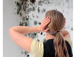 Средства для борьбы с грибками и плесенью