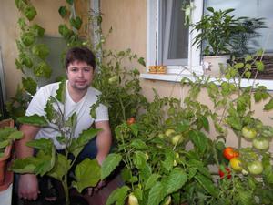 Уход за огородом на балконе
